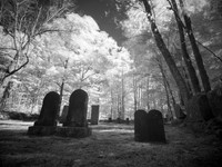 Death, continued, 2018