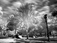 Tents in the Park