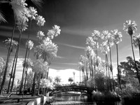 Bridge of the Water