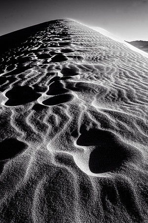 Temporary Tracks, 2016
