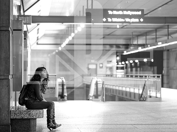 Pensively Waiting