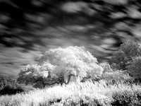 Beyond Visible