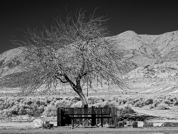 Trona, CA, 2016