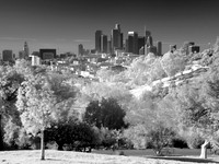 A view of the City