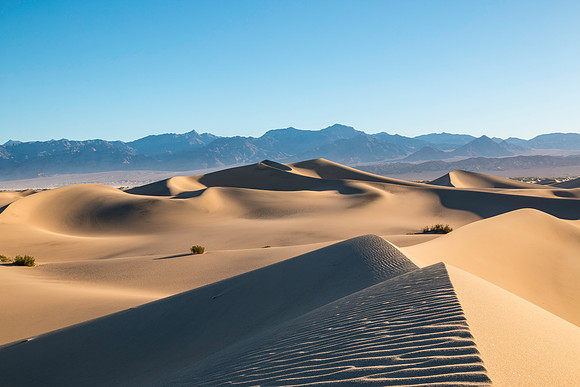Dunes #2