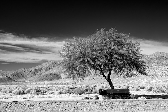 Park Bench in the Desert