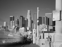 Movement Downtown