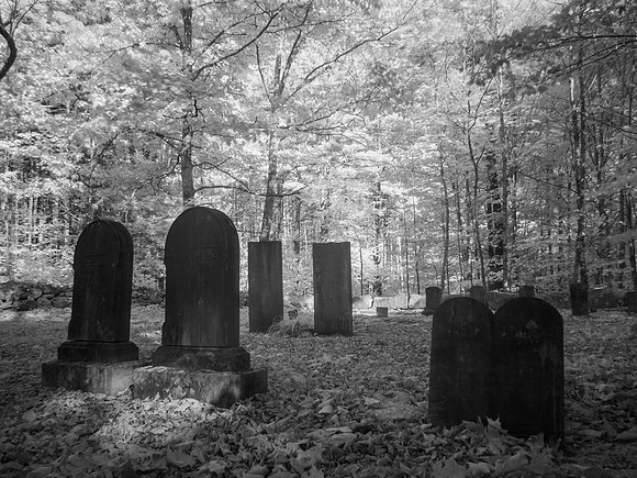 Death, Continued, 2018